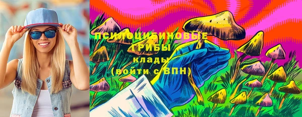 мяу мяу мука Михайловск
