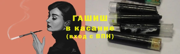 мяу мяу мука Михайловск