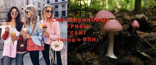 мяу мяу мука Михайловск