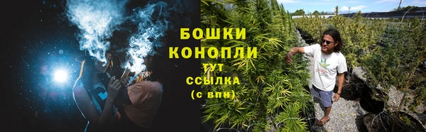 мяу мяу мука Михайловск